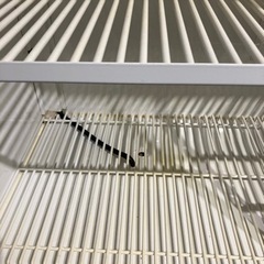 冷蔵ショーケース　