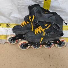 0119-066 ローラーブレード ROLLERBLADE 27...