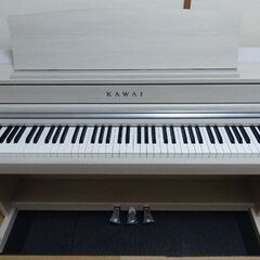 【ネット決済】カワイ/KAWAI 電子ピアノ Concert A...