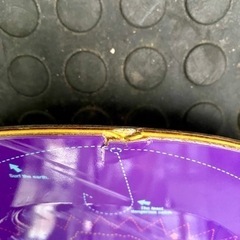 バートンスノーボード　155cm バートンビンディングセット