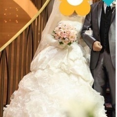 1万円分お値下げ‼️美品・専用クリーニング 済み‼️補正下着付き 