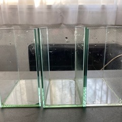 熱帯魚　ガラス水槽　ショーベタコレクションケースM