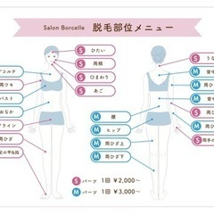 エステサロン 脱毛メニュー 全身脱毛1万円～ - 新居浜市