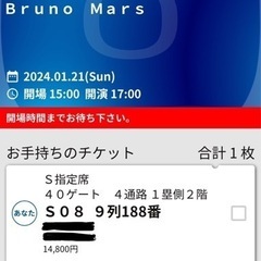 Bruno Mars コンサートチケット 1/21(日) 東京ドーム