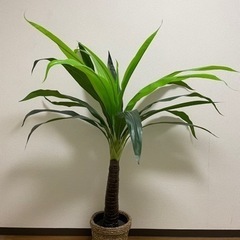 観葉植物　フェイクグリーン