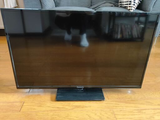 【パナソニック製の32型テレビ＋Amazon Fire Tv Stick】1月末まで格安でお譲りします。（引っ越しの都合）