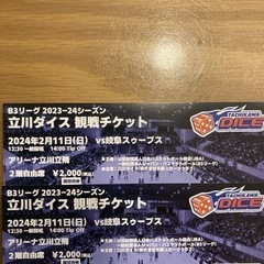 プロバスケット、2月11日（日）14時〜立川ダイスの観戦チケット...