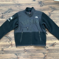 19ss SUPREME THE NORTH FACE Arc ...