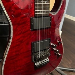 シェクター　ヘルレイザー　フロイドローズ