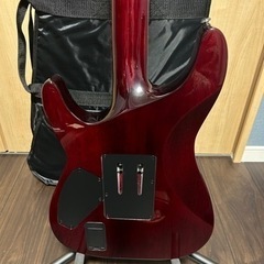 シェクター　ヘルレイザー　フロイドローズ