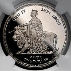 ウナとライオン　ヴァージン諸島　