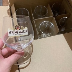 非売品スプリングバレー　グラス　未使用