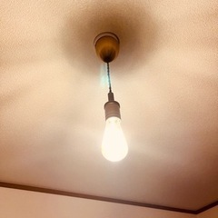 【ネット決済】カフェの照明です✨