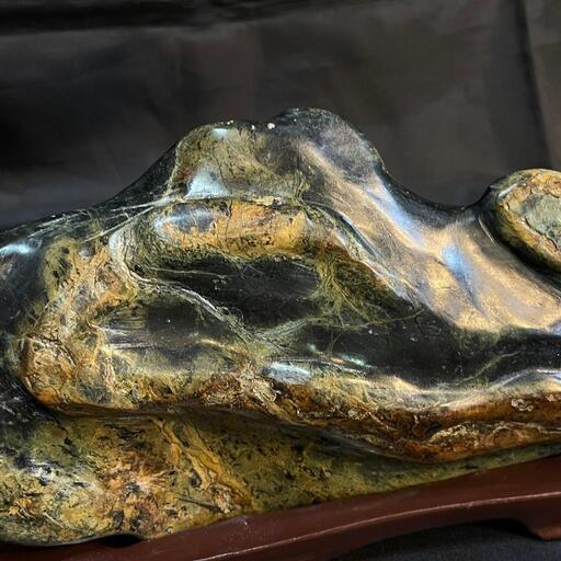 蛇石 蛇石【D-975】