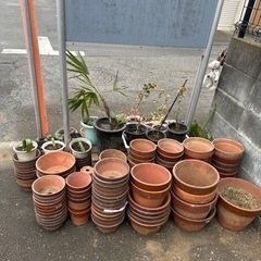 🪴植木鉢：陶器、素焼き、プラスチック。サイズいろいろ