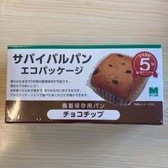 非常食 パン チョコチップ