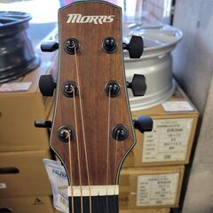 店頭引き取り限定】モーリス アコースティックギター M-021/Morris/楽器