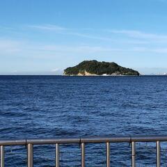 川崎、横浜、横須賀、湘南エリアの釣り🎣メンバー募集してます😊