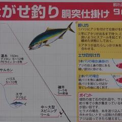 今日、☔雨だけどそれでも釣りに行きたい！🎣