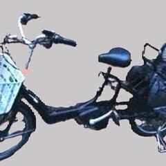 278🔵土日もお子様と土足のまま、いろいろなタイプの電動自転車の...