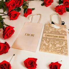 ★Christian DIOR クリスチャンディオール　紙袋　袋