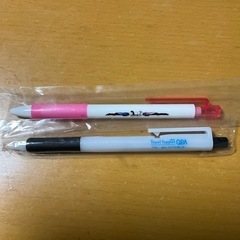 【3月末で処分】新品　ボールペン２本