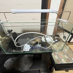 水槽　GEX 2個　飼育セット