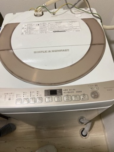 家電 生活家電 洗濯機