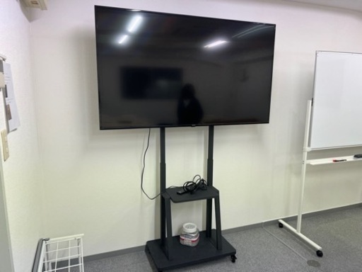 2023年製 アイリスオーヤマ テレビ 65V型 4K対応 Fiona 65UB10PC
