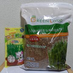 【0円】犬猫用草の種と栽培用土