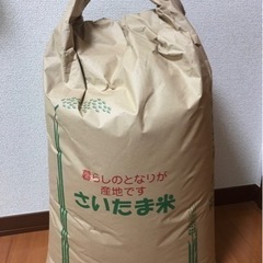 埼玉県産 コシヒカリ 令和5年産 10kg 無洗米 米 農家直送