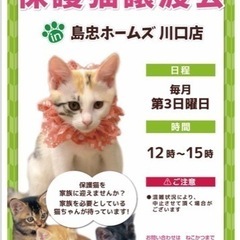 ※お休みのお知らせ※保護猫譲渡会 in 島忠ホームズ川口店】