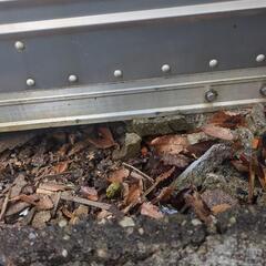 受渡し者決まりました。コンテナ