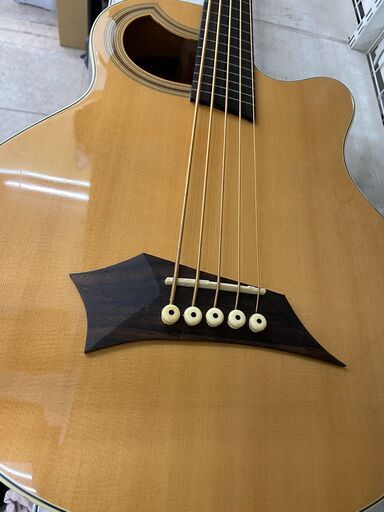 5弦！フレットレス！warwick(ワーウィック)のエレアコベース Alien