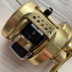 カルカッタ　200