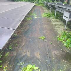 即時償却★野立て太陽光発電所【土地所有権】 即時償却☆野立て太陽光発電所【土地所有権】