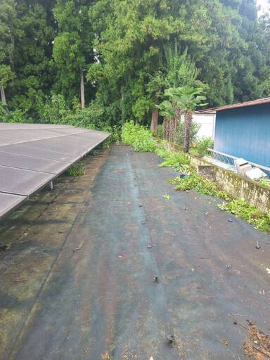 即時償却★野立て太陽光発電所【土地所有権】 即時償却☆野立て太陽光発電所【土地所有権】