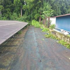 即時償却☆野立て太陽光発電所【土地所有権】