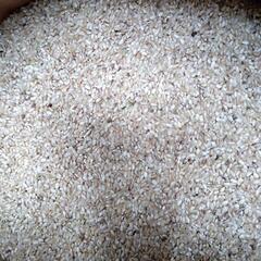 令和5年 阿東産コシヒカリ玄米30キロ 農薬不使用 激安特価セール