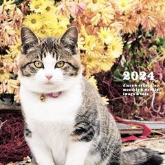 2024 岩合光昭 ねこ diary&schedule