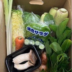 野菜セット(大盛り)→4セット限り