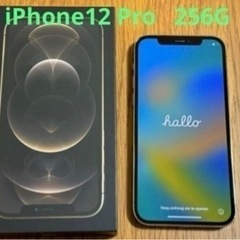 iPhone12 Pro  256GB