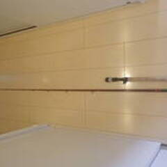 ナマズ専用ロッド　VARIVAS（バリバス）RYUGA（流雅）72