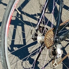 お取引感謝【乗りやすく】ルイガノ・RSR3・9速・サイズ450・中古