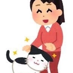 勤務中の間だけ、子猫と若いオス犬の世話、散歩していただける人募集...