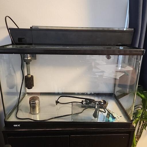 屋内鑑賞魚飼育水槽60cm　値下げ交渉可能！