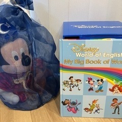 ワールドファミリー　フルセット　dwe