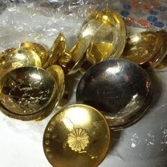 金盃いろいろ