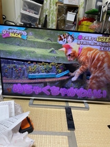 東芝　50V型　液晶テレビ　50G9 訳あり