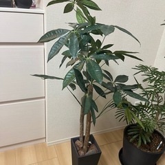 人工観葉植物　フェイクグリーン